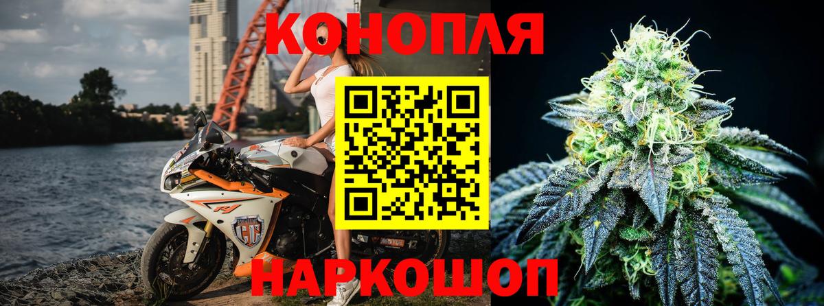 Канабис семена  Вход с VPN  Конопля индика  Ленинск-Кузнецкий 
